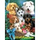 Рисуване по Номера (пълен комплект) -Кучешко семейство