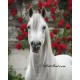 Рисуване по Номера (пълен комплект) - Белия кон и червените цветя