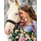 Рисуване по Номера (пълен комплект) - Снежната принцеса и белият кон