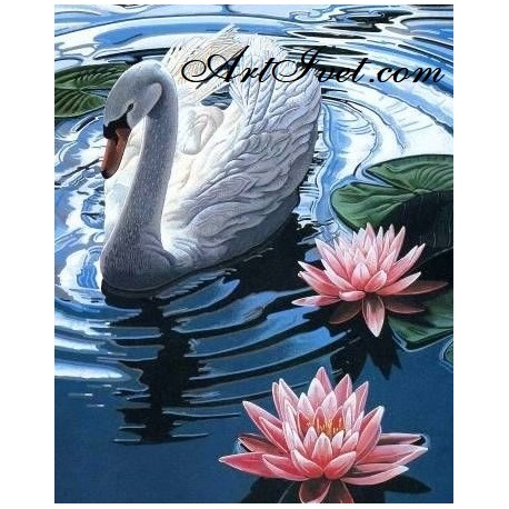 Рисуване по Номера (пълен комплект) - Лебедът и водните лилии
