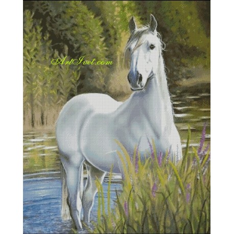 Рисуване по Номера (пълен комплект) - Очакването на белия кон