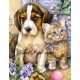 Рисуване по Номера (пълен комплект) -Коте и куче приятели
