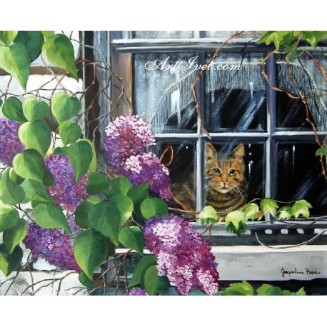Рисуване по Номера (пълен комплект) - Котето на прозореца