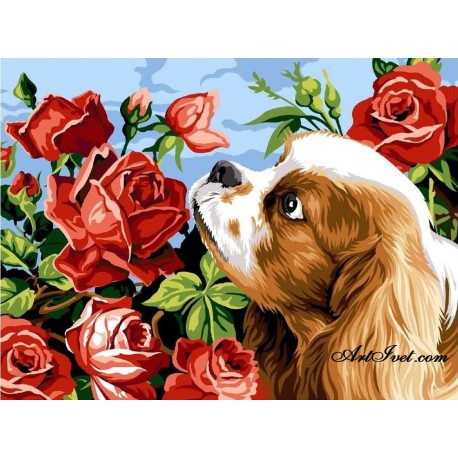 Рисуване по Номера (пълен комплект) - Доли и ароматните рози