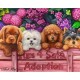 Рисуване по Номера (пълен комплект) - Четири сладурски кученца