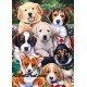 Рисуване по Номера (пълен комплект) - 7 сладурести кученца