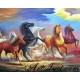 Рисуване по Номера (пълен комплект) - Диви и красиви конe