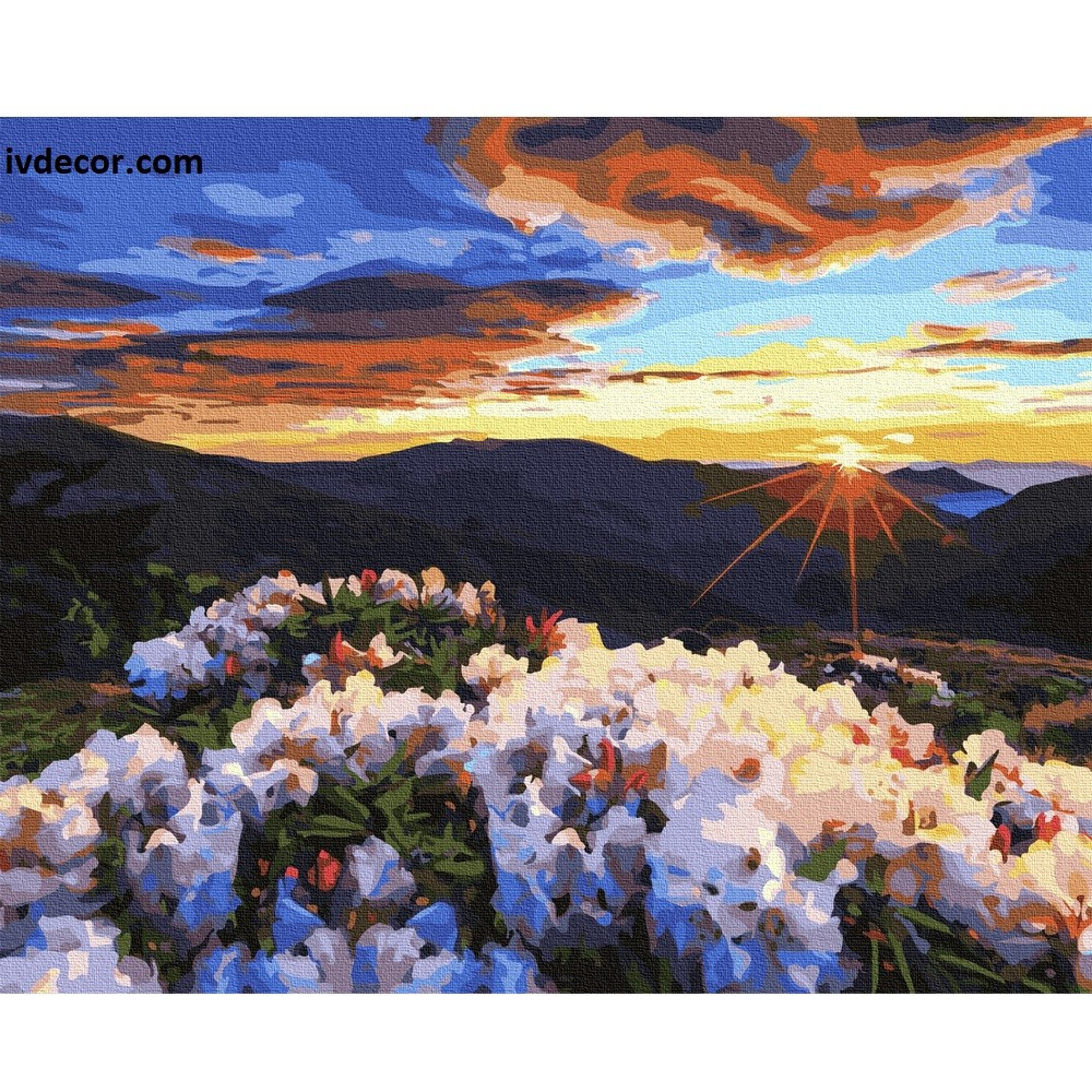 Картина по номера - Утро в планината и още над 700 картини по номера