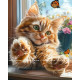 Рисуване по номера - КОТЕ С ПУХКАВИ ЛАПКИ - 40х50см.
